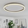 Barril Deckenleuchte LED Aluminium, 1-flammig