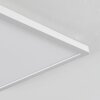Sasinhosa Deckenpanel LED Weiß, 1-flammig, Fernbedienung