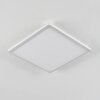 Sasinhosa Deckenpanel LED Weiß, 1-flammig, Fernbedienung