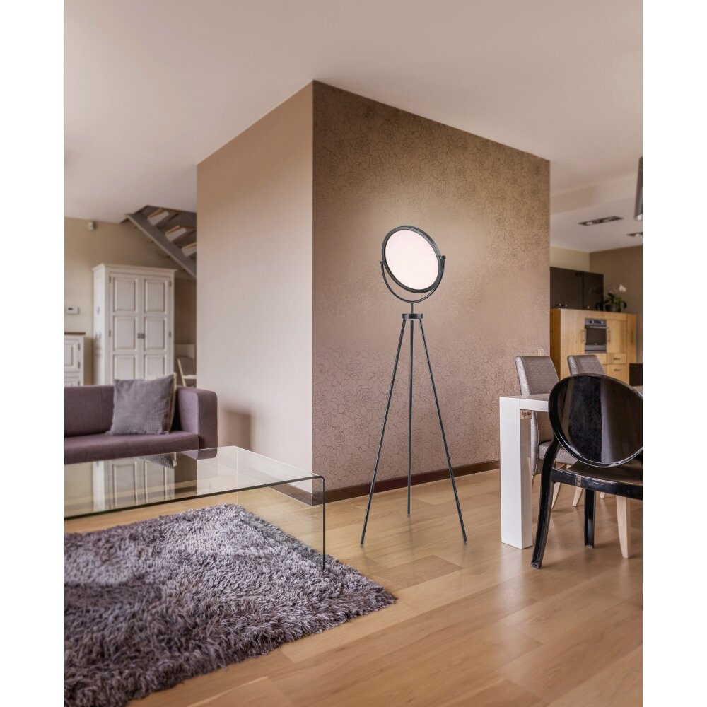 Leuchten Direkt CARL Stehleuchte LED Schwarz, 1-flammig main product photo