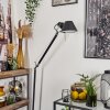 Artemide TOLOMEO Stehleuchte Chrom, Schwarz, 1-flammig