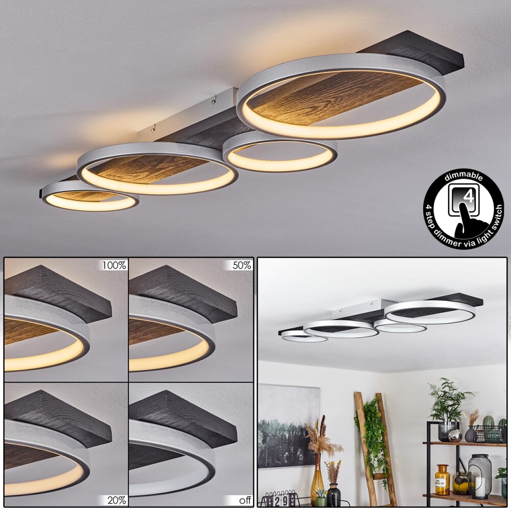 Rodekro Deckenleuchte LED Schwarz, Silber, 1-flammig main product photo