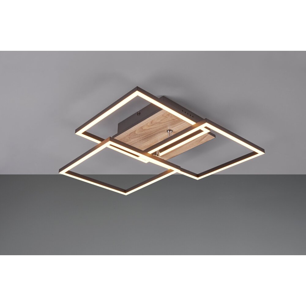 Reality Mobile Deckenleuchte LED Holzoptik, Schwarz, 1-flammig, Fernbedienung main product photo