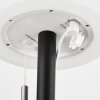 FHL easy Fiumara Außentischleuchte LED Schwarz, 1-flammig, Fernbedienung, Farbwechsler