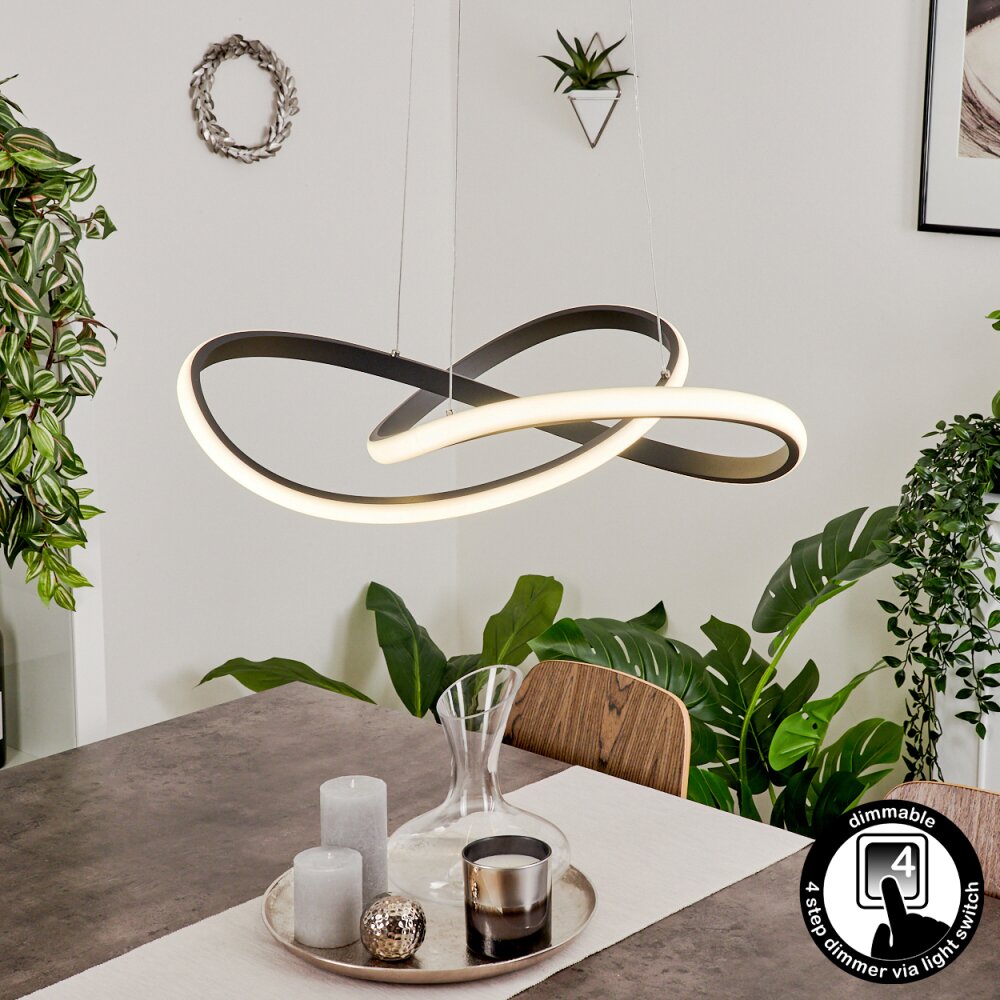 Pitasch Hängeleuchte LED Schwarz, 1-flammig main product photo