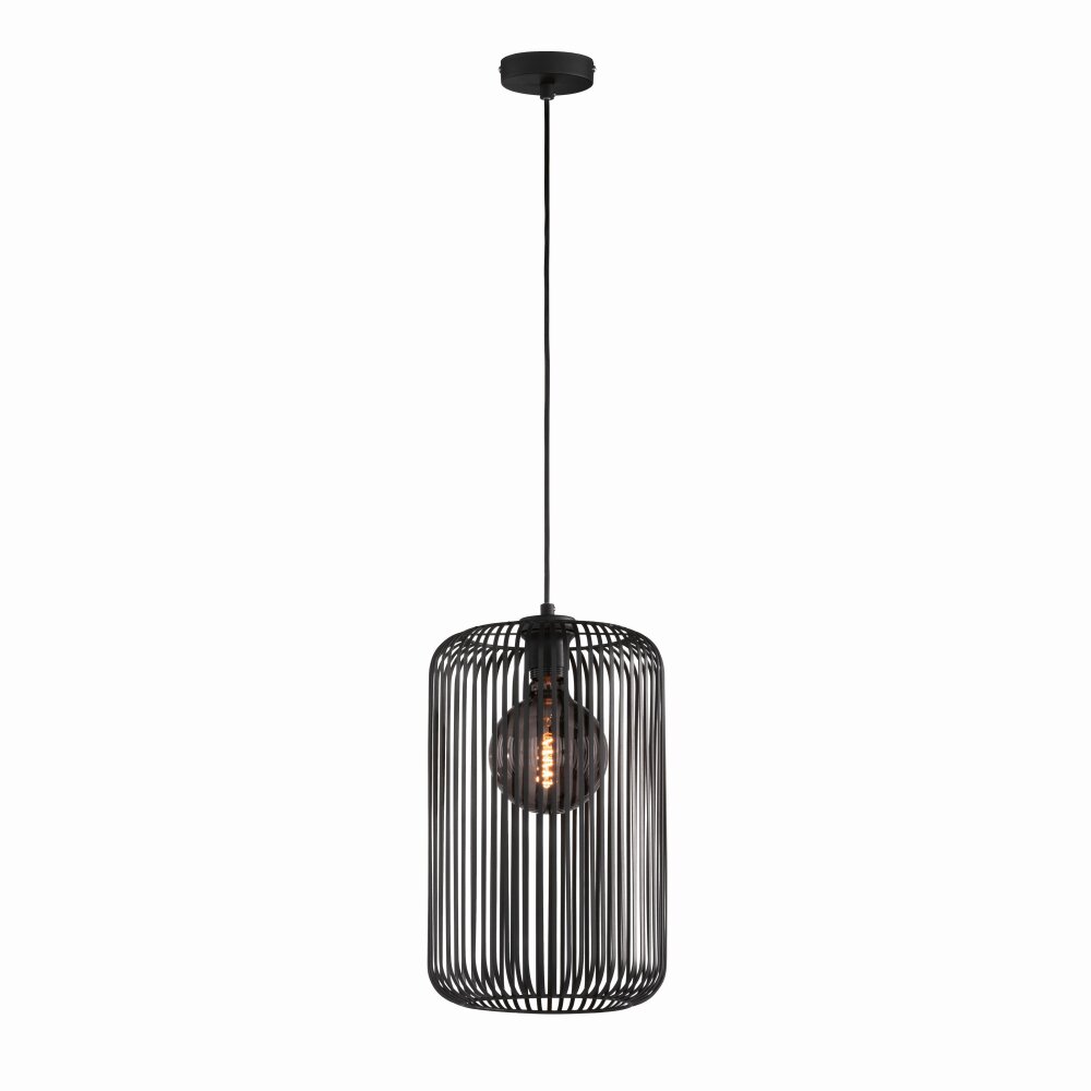 SCHÖNER WOHNEN-Kollektion Cage Pendelleuchte Schwarz, 1-flammig main product photo