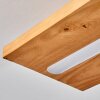 Adak Deckenleuchte LED Schwarz, 1-flammig