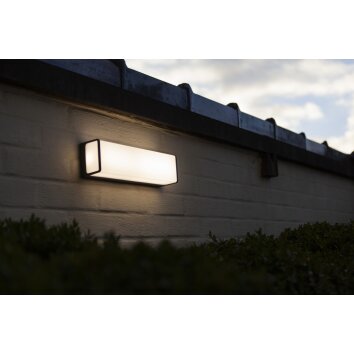 Lutec Doblo Außenwandleuchte LED Anthrazit, 1-flammig