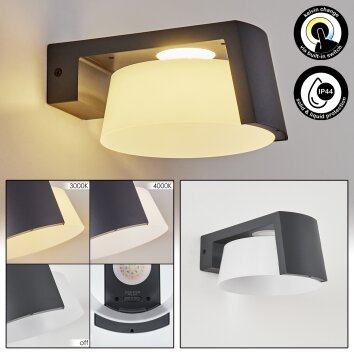 G96416/76 Brilliant Schwarz Außenwandleuchte LED Soare