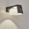 Lafite Solar-Außenwandleuchte LED Anthrazit, 1-flammig, Bewegungsmelder