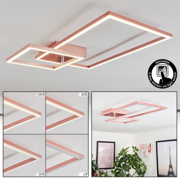 Doyon Deckenleuchte LED Gold, Rosa, 1-flammig