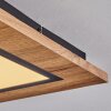 Salmi Deckenpanel LED Holzoptik, Schwarz, 1-flammig