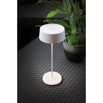 Lutec COCKTAIL Tischleuchte LED Weiß, 1-flammig