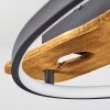 Nevogilde Deckenleuchte LED Naturfarben, 1-flammig