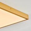 Broglen Deckenpanel LED Gold, 1-flammig