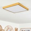 Broglen Deckenpanel LED Gold, 1-flammig