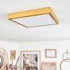 Broglen Deckenpanel LED Gold, 1-flammig