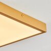 Broglen Deckenpanel LED Gold, 1-flammig
