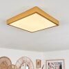 Broglen Deckenpanel LED Gold, 1-flammig