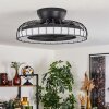 Burmeister Deckenventilator LED Schwarz, 1-flammig, Fernbedienung