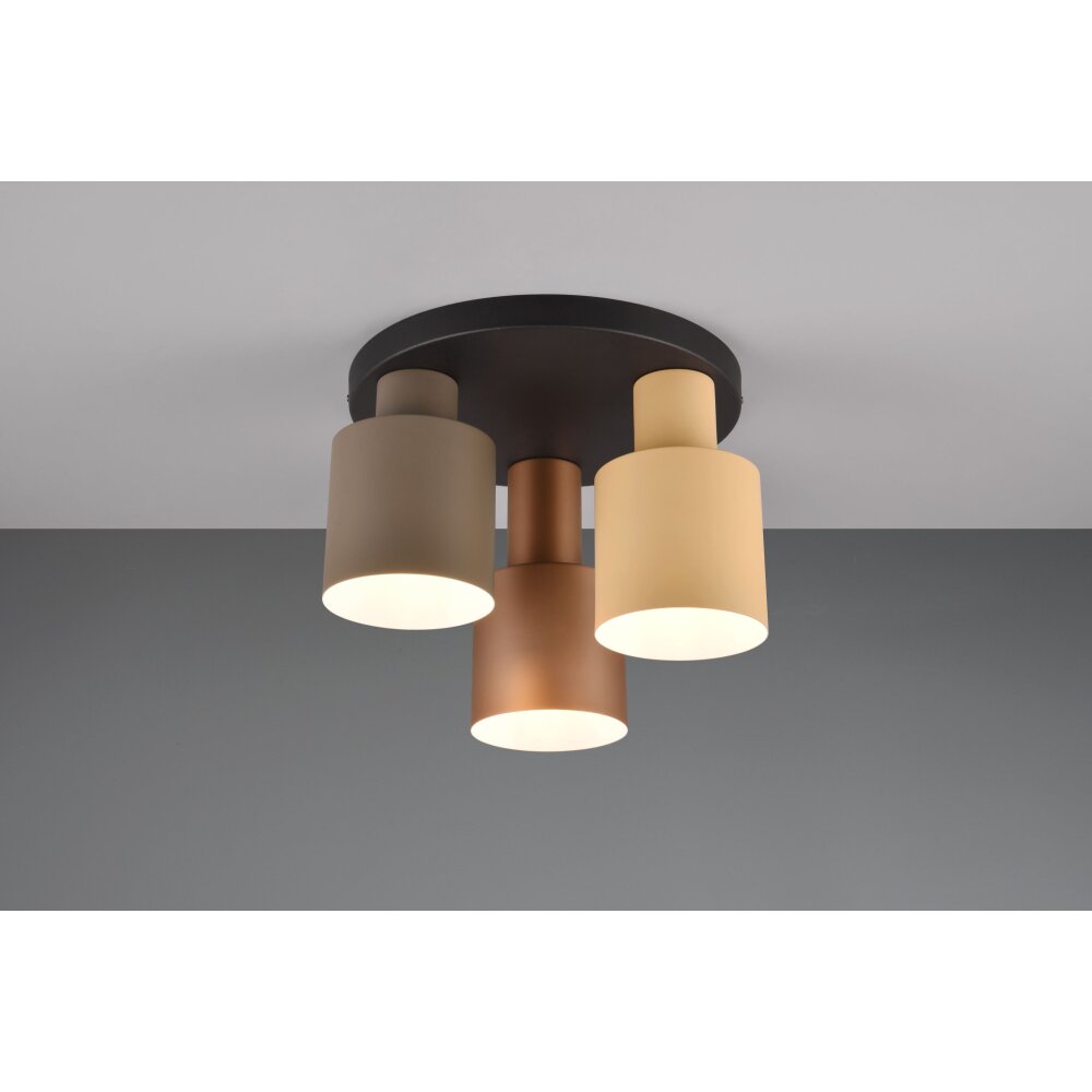 Trio AGUDO Deckenleuchte Schwarz, 3-flammig main product photo