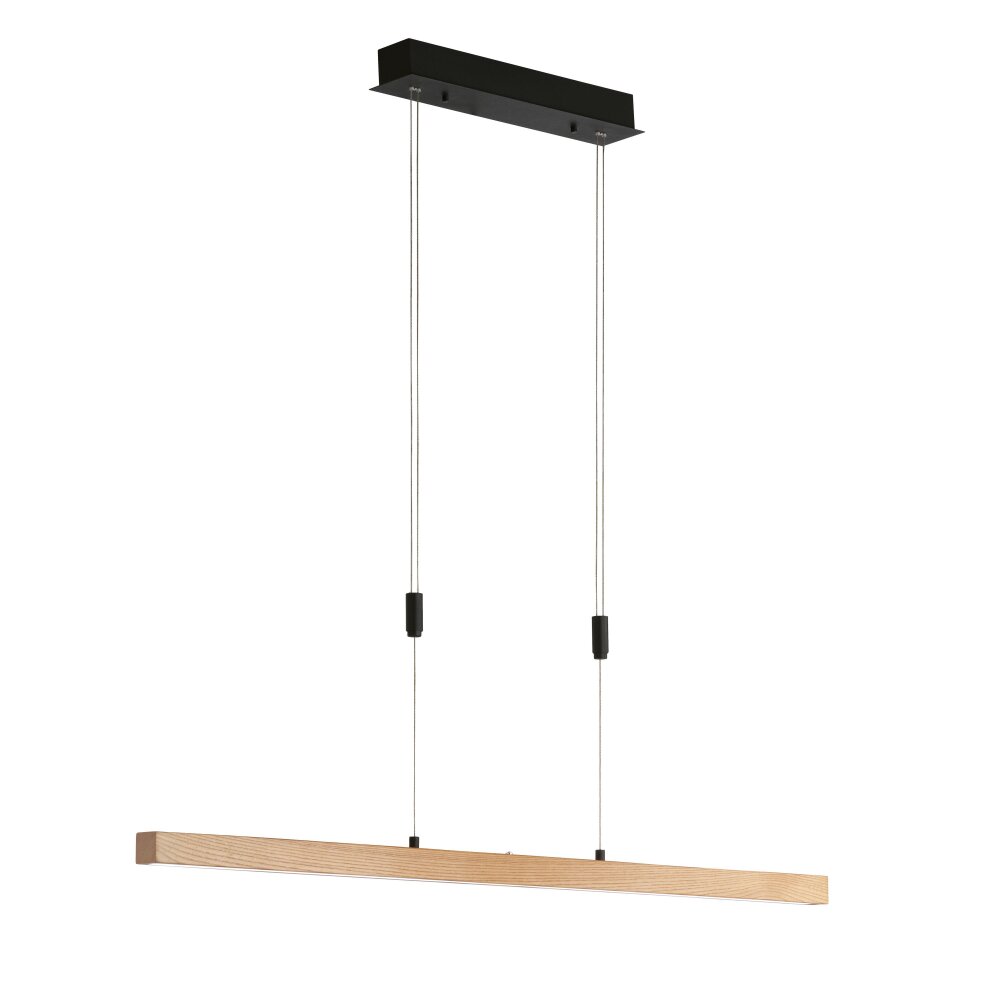 Fischer & Honsel Straßburg Pendelleuchte LED Schwarz, 1-flammig main product photo
