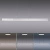 Paul Neuhaus PURE-MOTO-RISE Pendelleuchte LED Silber, 3-flammig, Fernbedienung