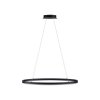 Paul Neuhaus TITUS Pendelleuchte LED Anthrazit, 1-flammig