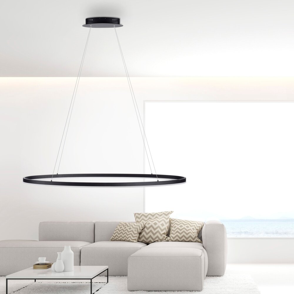 Paul Neuhaus TITUS Pendelleuchte LED Anthrazit, 1-flammig main product photo