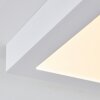Leto Außendeckenleuchte LED Weiß, 1-flammig