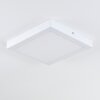 Leto Außendeckenleuchte LED Weiß, 1-flammig