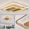 Evolene Deckenleuchte LED Gold, 1-flammig