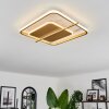 Evolene Deckenleuchte LED Gold, 1-flammig