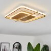 Evolene Deckenleuchte LED Gold, 1-flammig