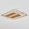 Evolene Deckenleuchte LED Gold, 1-flammig
