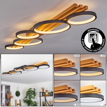 Rodekro Deckenleuchte LED Schwarz, Weiß, 1-flammig