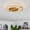 Evolene Deckenleuchte LED Gold, 1-flammig