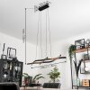 Fuliola Pendelleuchte LED Schwarz, 1-flammig
