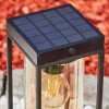 Palanga Solar-Wegeleuchte LED Schwarz, 1-flammig