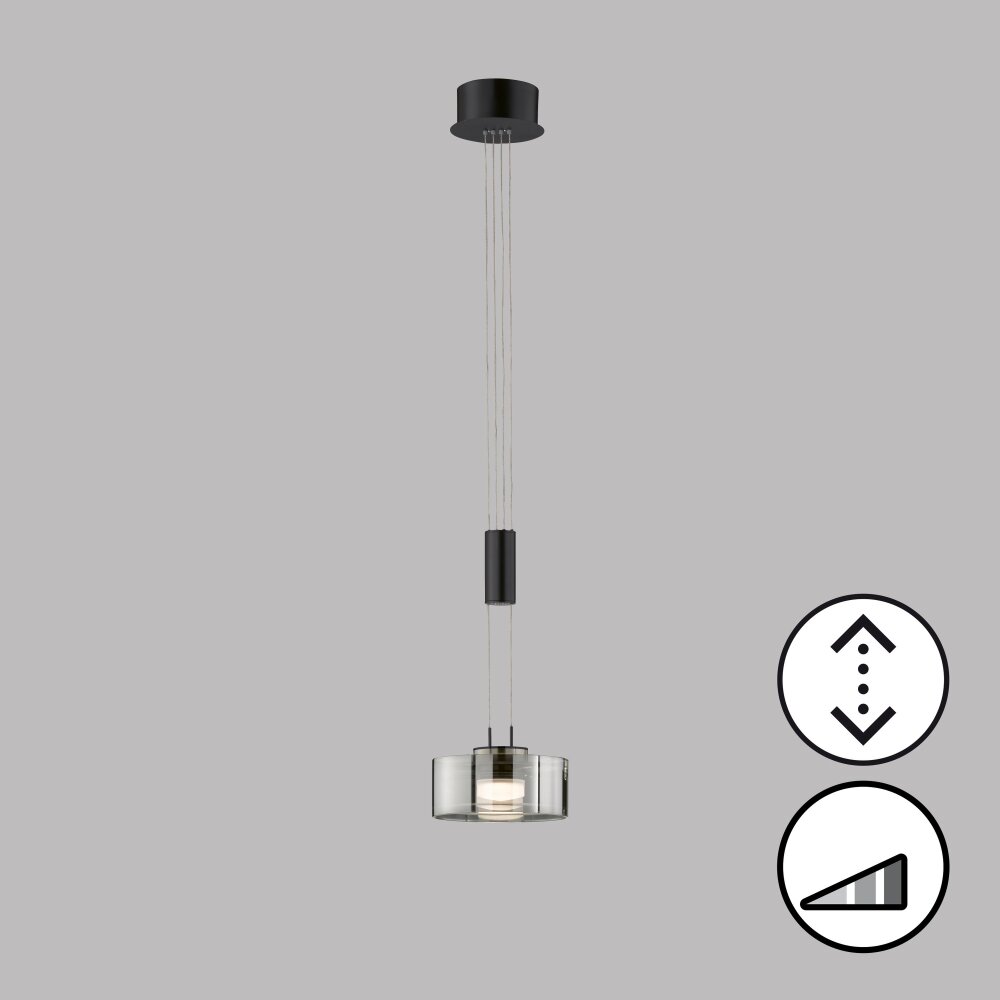 Fischer & Honsel Lavin Pendelleuchte LED Schwarz, 1-flammig main product photo