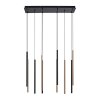 Paul Neuhaus FLUTE Pendelleuchte LED Schwarz, 10-flammig