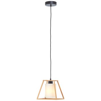 Brilliant Giseh Pendelleuchte Schwarz, 1-flammig