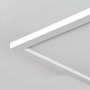 Vex Deckenpanel LED Weiß, 1-flammig, Fernbedienung