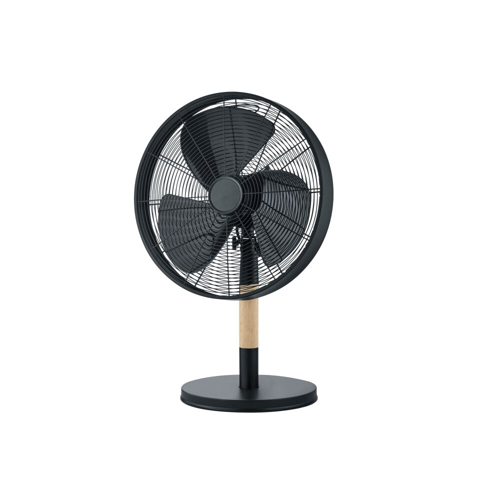 Reality Viking Ventilator Schwarz main product photo