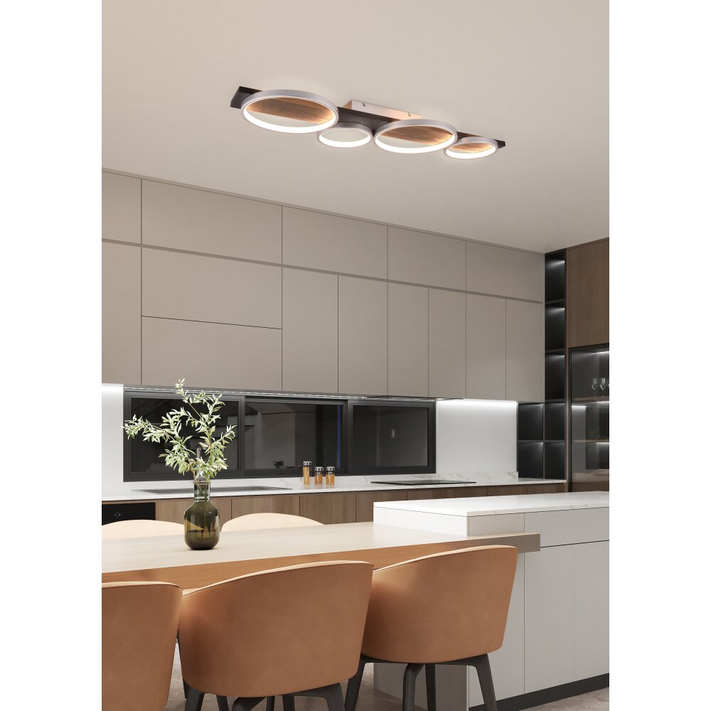 Trio Medera Deckenleuchte LED Schwarz, Titan, 1-flammig main product photo