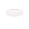 Reality SCOTT Deckenpanel LED Weiß, 1-flammig, Fernbedienung
