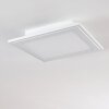 Voisines Deckenpanel LED Weiß, 1-flammig, Fernbedienung, Farbwechsler