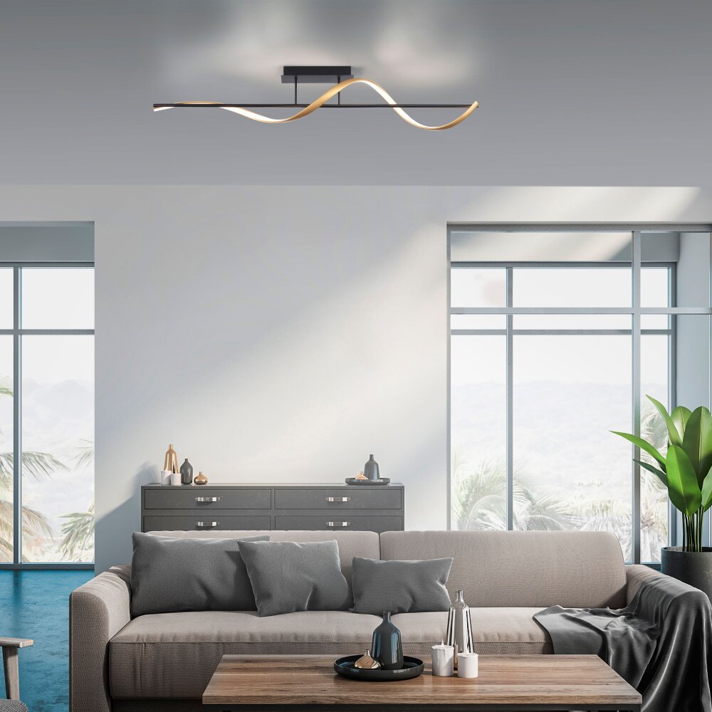 Paul Neuhaus Q-SWING Deckenleuchte LED Anthrazit, Gold, 1-flammig, Fernbedienung main product photo