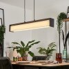 Siders Pendelleuchte LED Schwarz, 1-flammig, Farbwechsler