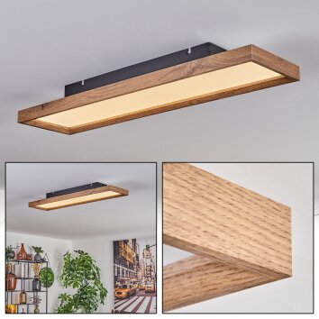 Leuchten Direkt ACRI Schwarz LED 14512-18 Deckenleuchte